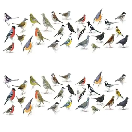 Birds Edible Image cake border 2 Strips per sheet 3.5x10.5 inchs {1}