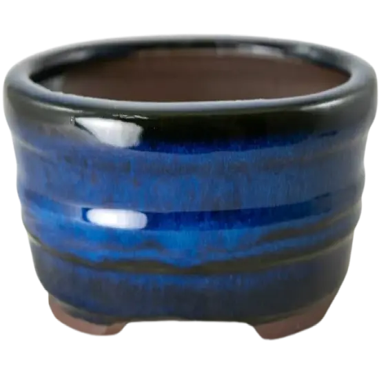 Oval Glazed Cactus & Succulent, Bonsai Pot with Mesh, Wire 6"x 4.5"x 2.5" - Blue {1}