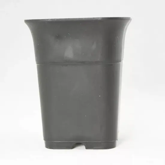 3 Mix Square Plastic Cascade Bonsai Pot, Succulent, Orchid Planter 3.25" - 4.75" {2}