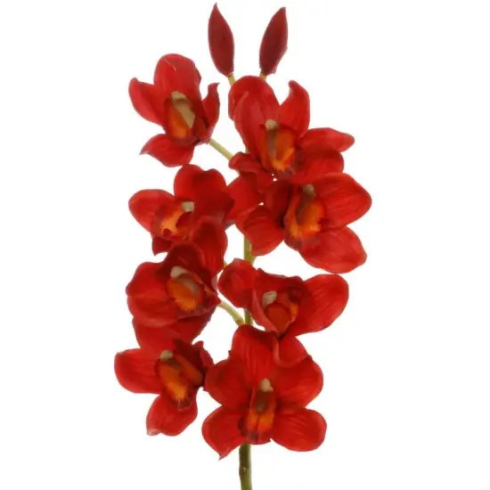 30" Cymbidium Orchid Stem - 3 PACK {4}