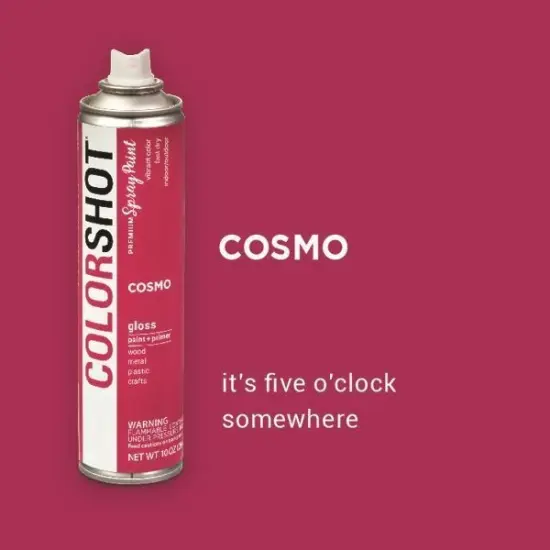 COLORSHOT Gloss Spray Paint Cosmo (Fuchsia) 10 oz. 4 Pack {3}