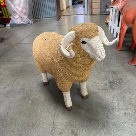 Baby Merino Ram Life Size Statue {4}