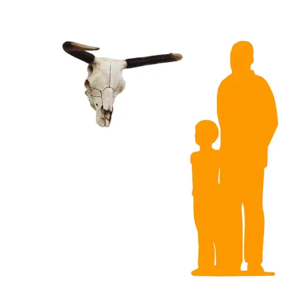 Small Bull Skull Life Size Statue {2}