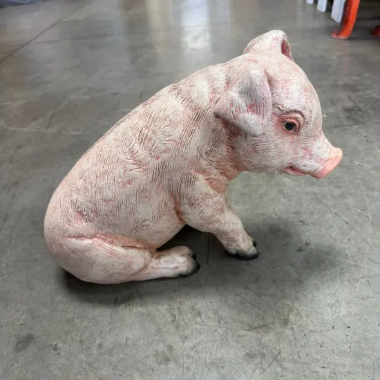 New Born Pig Sitting Life Size Statue {4}