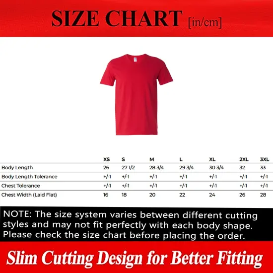 Gildan Softstyle V-Neck T-Shirt Heather purple {5}