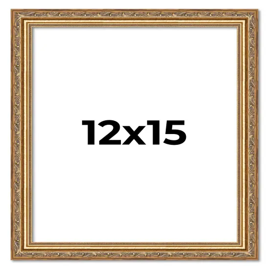 12x15 Museum-Quality Picture Frame with UV-Resistant Acrylic & Acid-Free Backing, Available in 4 Finishes - Gold, Silver, Bronze, and Black {1}