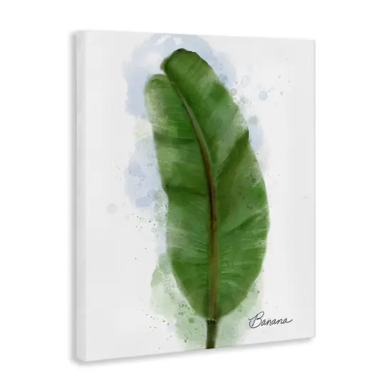 Stupell Industries Modern Banana Plant Leaf Canvas By Matthew Piotrowicz {3}