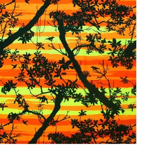 Romantic Sunset Printed Spandex {3}