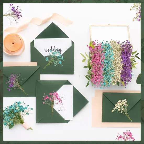 200 Pcs Dried Baby's Breath Flowers Preserved Baby's Breath (4 Colors) {4}