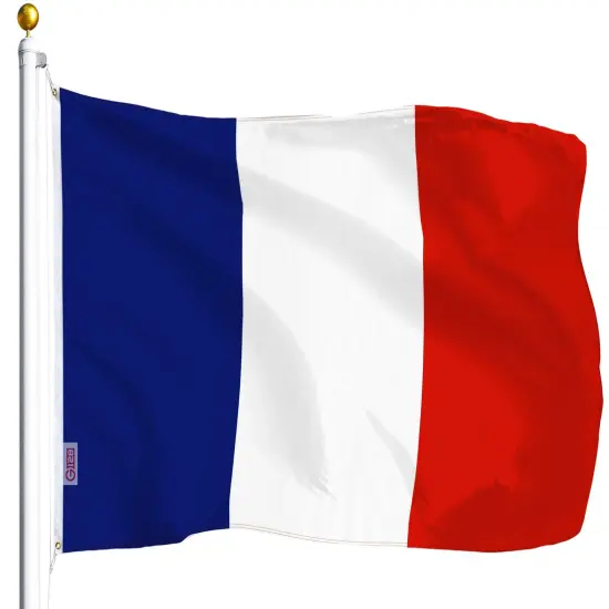 France (French) Flag 75D Printed Polyester 3x5 Ft {1}