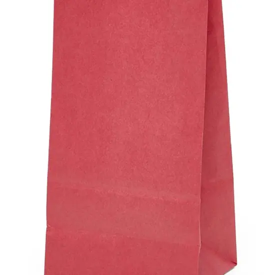 Colored Paper Carry Bags 4'' X 2 1/2'' X 8 1/4'' {4}