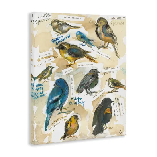 Stupell Industries Backyard Birds Identities Canvas By Jessica Mingo {3}