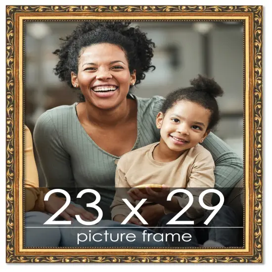 23x29 Museum-Quality Picture Frame with UV-Resistant Acrylic & Acid-Free Backing, Available in 4 Finishes - Gold, Silver, Bronze, and Black {1}