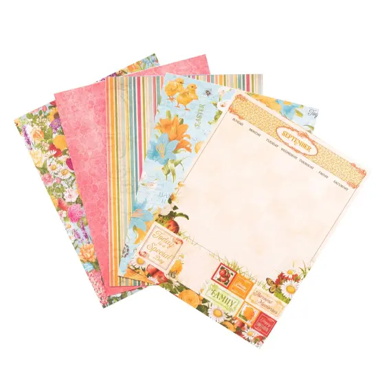 BoBunny Single-Sided Paper Pad 6"X8" 36/Pkg-Time & Place, 12 Designs/3 Each {4}