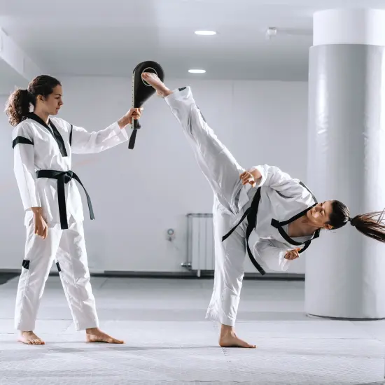 2 Pack Taekwondo Kick Pads, Martial Arts Training Equipment, Kickboxing Striking Target Pads, TKD Sparring Gear (Black, 15 x 2.5 x 7.5 In) {3}