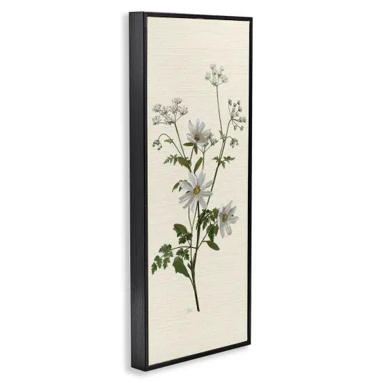 Stupell Industries Budding Wild Herbs Framed Giclee By Nan {3}