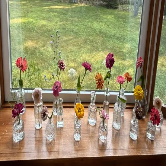 Glass Bud Vases Set of 12 &ndash; Mini Vintage Clear Vases for Wedding Centerpieces and Home Decor {5}