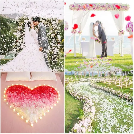 1200 Pcs Fake Flower Petals (Ivory) {4}