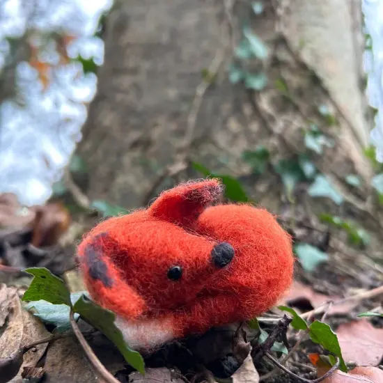 Felting Kit - Fox Cub Small Needle Felt Kit {1}