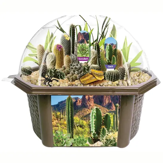 Toys By Nature: Desert Dome - DIY Biosphere Terrarium Starter Kit, Grow & Cultivate An Indoor Mini Garden, Cacti & Succulent Plants, Adults-Kids 4+ {3}