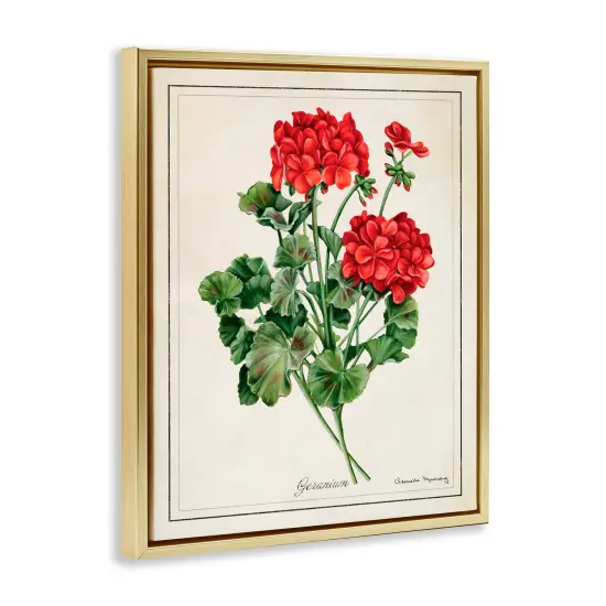 Stupell Industries Vivid Red Geranium Blossoms Floating Frame By Danielle Murray {3}