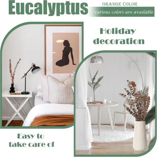 20Pcs 17" Dried Eucalyptus Stems - Orange {5}