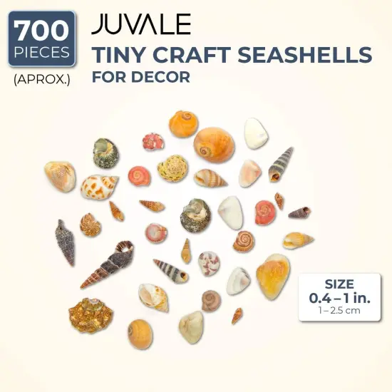 Tiny Sea Shells Mixed Ocean Beach Spiral Seashells Craft Charms for Home Decorations, Beach Theme Party, Candle Making, Wedding Decor, DIY Crafts, Fish Tank and Vase Filler(1-2.5cm),680-700pcs {2}