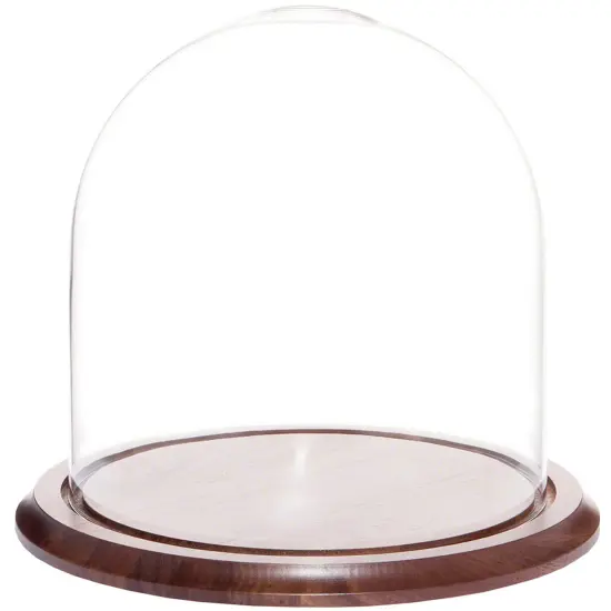 Plymor 9.75" x 10" Glass Display Dome Cloche Oak Veneer {2}
