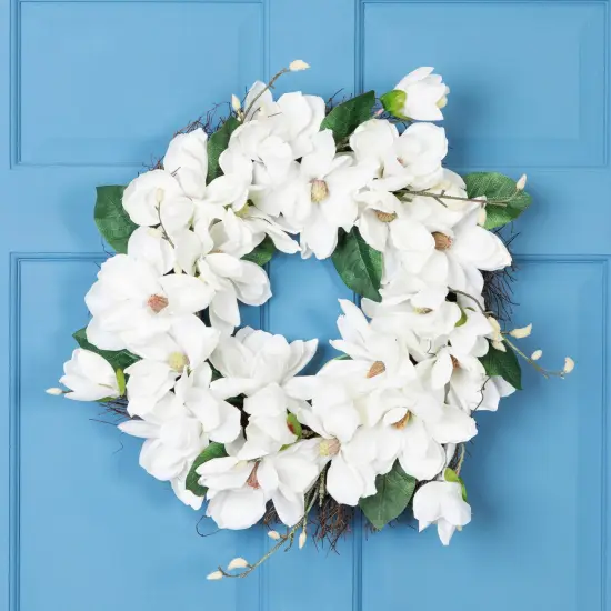 Northlight Magnolia Artificial Spring Twig Wreath - 24" - White {1}