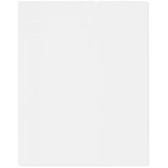 Plymor 8" x 10", White 2 Mil Flat Open Plastic Poly Bags {1}