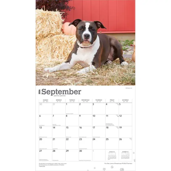 American Pit Bull Terriers | 2026 14 x 24 Inch (Hanging) Monthly Deluxe Wall Calendar | Plastic-Free {4}