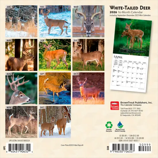 White Tailed Deer | 2026 7 x 14 Inch (Hanging) Monthly Mini Wall Calendar {2}