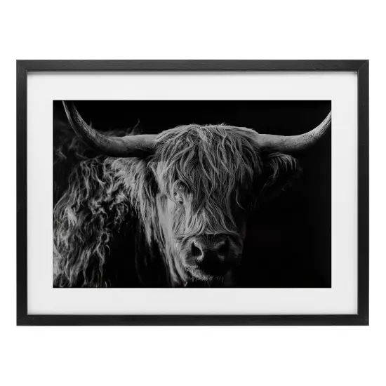 Stupell Industries Scottish Highland Portrait Framed Print Under Glass, design by Crystal Lynn Collins {7}