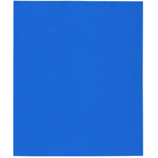 Plymor 15" x 18", Blue 2 Mil Flat Open Plastic Poly Bags {1}