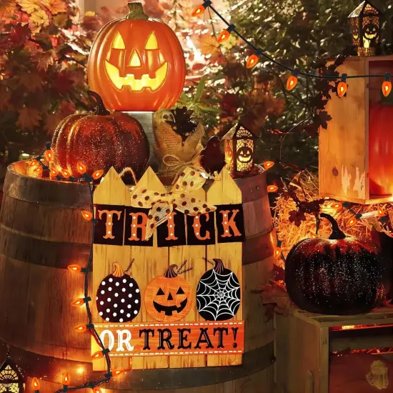 25Ft C7 Outdoor Flickering Flame Halloween String Lights {5}