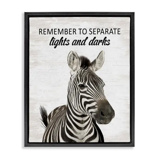 Stupell Industries Remember To Separate Laundry Floating Frame Design by Lettered and Lined {1}