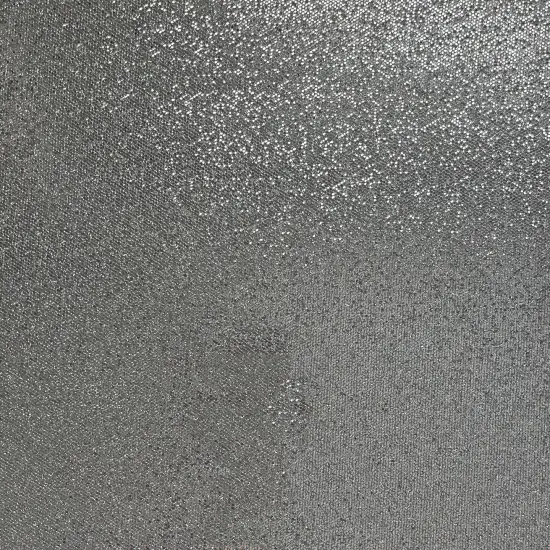 SILVER COINS Sequin Glitter Cardstock - Encore Paper {1}