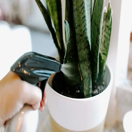 6 Pack Empty Aluminum Spray Bottles {4}