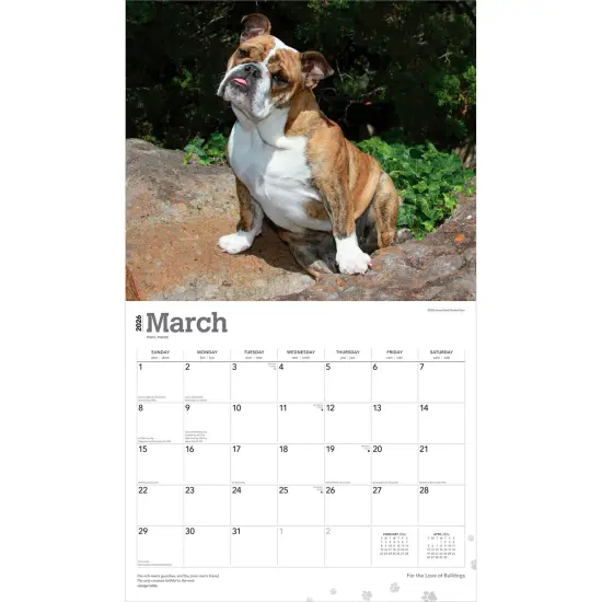 For the Love of Bulldogs | 2026 14 x 24 Inch (Hanging) Monthly Deluxe Wall Calendar | Foil Stamped Cover | Plastic-Free {3}