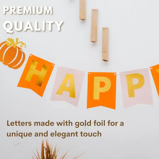 Pumpkin Happy Birthday Banner - Pink and Orange Garland for Girls or Kids {2}