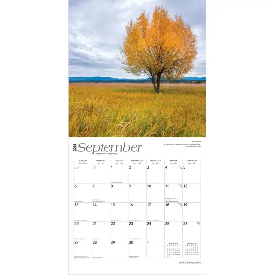 Idaho Wild & Scenic | 2026 12 x 24 Inch (Hanging) Monthly Square Wall Calendar | Plastic-Free {4}