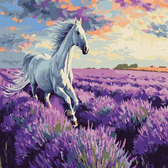 Painting by Numbers kit In the lavender fields KHO6659 {3}
