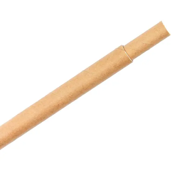 Bright Creations Mason Bee Nesting Tubes Refills (8mm & 10mm, 100 Pack, 50 Each) Brown {6}