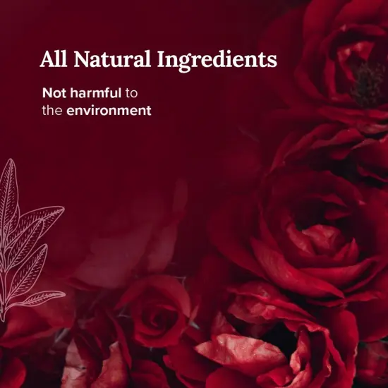 Magnificent 101 Set of 3 Long-Lasting Pure Love Smudge Candles | 3.5 Oz Each - 42 Hour Burn | Made of Soy Wax with Florals & Essential Oils for True Love Attraction & Manifestation Multicolor {3}