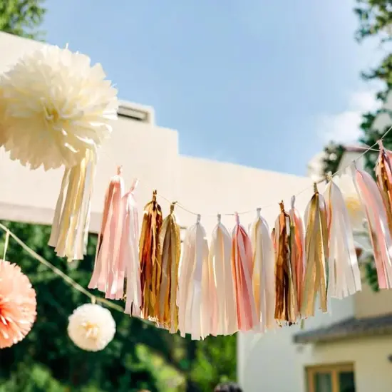 Shiny Tassel Garland Tissue Paper Tassel Banner,Table Decor,Tassels Party Decorations Supplies for Wedding,Birthday,Bridal/Baby Shower,DIY Kits,Pack of 20 - (Rose Gold/Light Pink/Peach Color/White) {2}