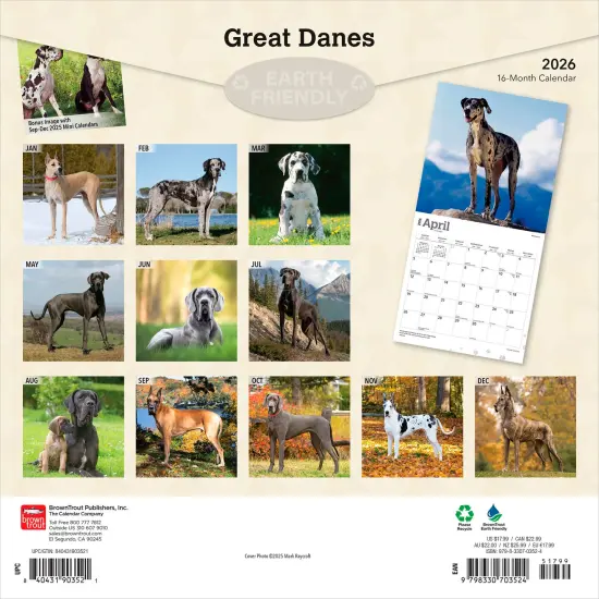 Great Danes | 2026 12 x 24 Inch (Hanging) Monthly Square Wall Calendar | Plastic-Free {2}