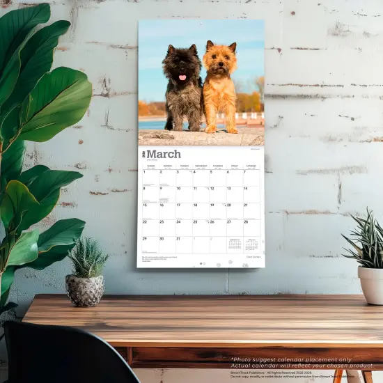 Cairn Terriers | 2026 12 x 24 Inch (Hanging) Monthly Square Wall Calendar | Plastic-Free {5}