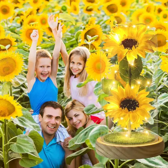 Sunflower Tabletop Gifts for Women Mom Grandma, Enchanted LED Sunflower Lamp, Unique Artificial Flowers in Glass Dome {3}