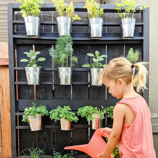 25 Pack Round Metal Bucket {4}