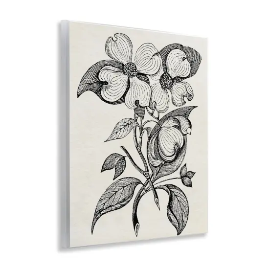 Stupell Industries Classic Cut of Dogwood Wall Plaque, design by Karen Smith {3}